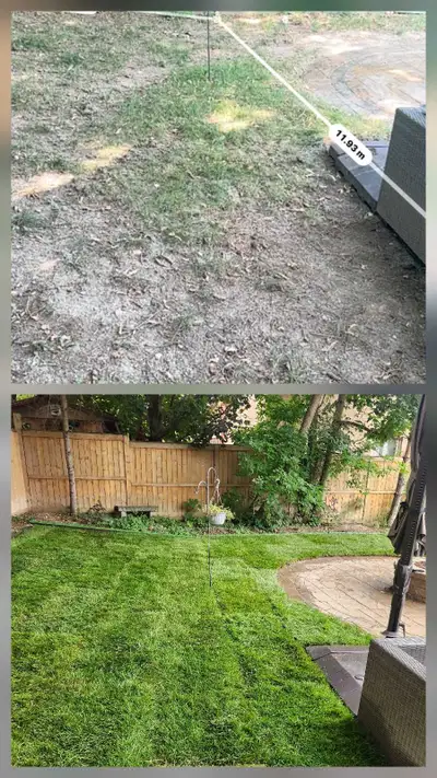 SOD Installation for Sale, View more