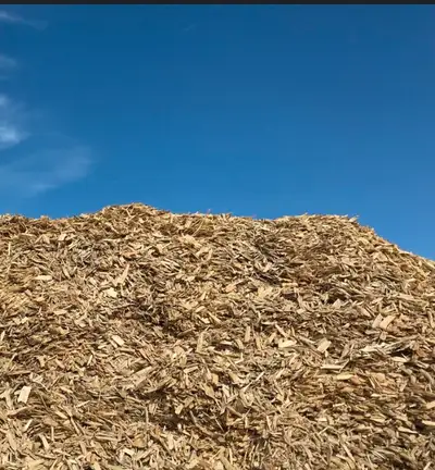 FREE DROP OFF LOCATION FOR WOOD CHIPS AND MULCH. LOCATED IN FENELON FALLS JUST OFF 35 near ROSEDALE.