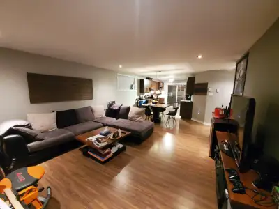 Bachelor à louer