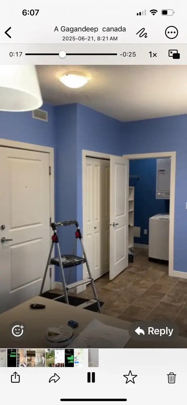 Professional Painter470945044492472324