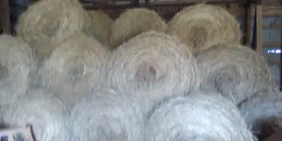 hay for sale, View more