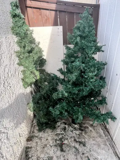 Free Christmas Trees , View more