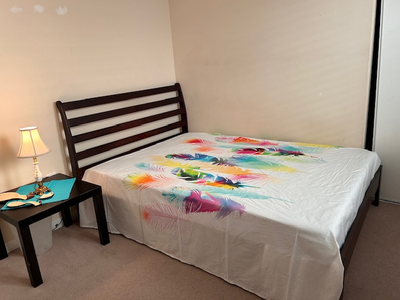I am seeking a non-smoking FEMALE Professional/ Student to rent a well-furnished bedroom in a Family...