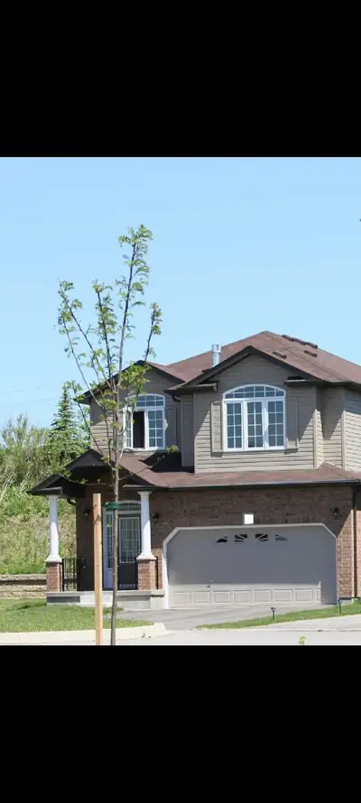 1 bedroom for rent, ALL inclusive, ready for move in One bedroom $45/day, $200/week, 350biweekly Ava...