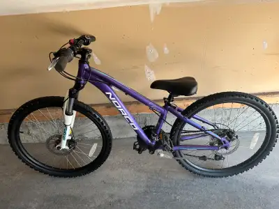 21 speed, front and back disc brakes, front suspension, quick release front tire, easy adjustable se...