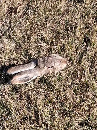 looking for side work, View more