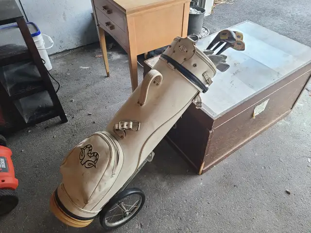 Fore! Golf Clubs & Stuff (Pickup near Algonquin College) in Golf in Ottawa - Image 4