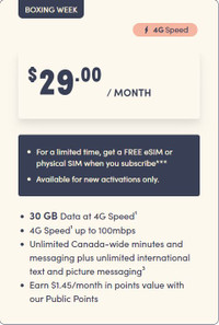 30GB $29/month 4G speed cheap cell phone plan unlimited talk tex