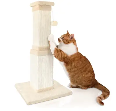 Cat Post, View more