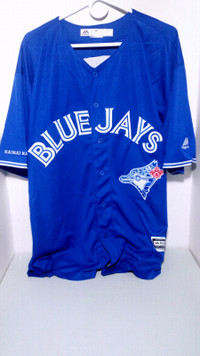 Blue Jays "SKODEN" tribute jerseys