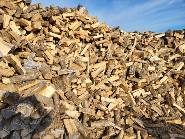 Hardwood Firewood Ready to Burn in Other in Napanee - Image 2