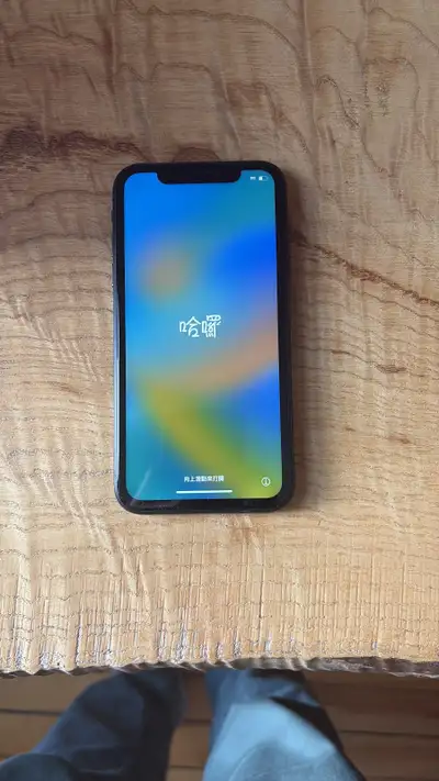 iPhone XR-Unlocked, small crack on the back, View more