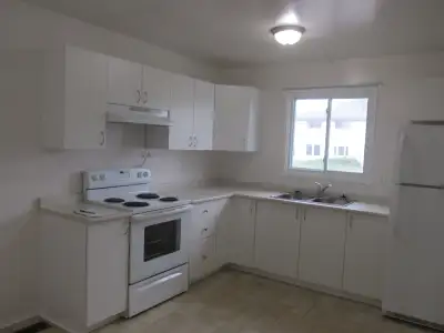 Spacious house for Rent, currently being renovated. Available mid June. All newer windows and front...