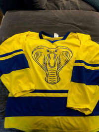 Youth Hockey Jersey Set - Great for Spring/Summer Tournaments