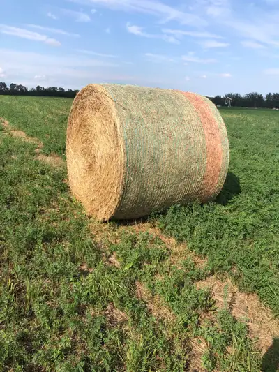 Round hay bales, View more