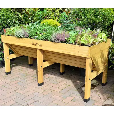 Veg Trug Raised Planter, View more