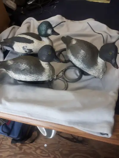 DECOY DUCKS X 3 (AVAILABLE), View more