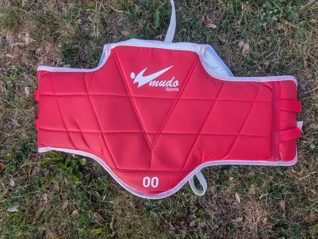 TaeKwonDo Chest Guard418454920339148802