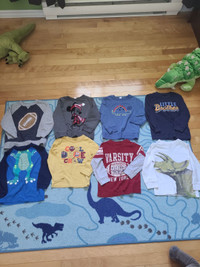 Toddler Boys Shirts (2T)