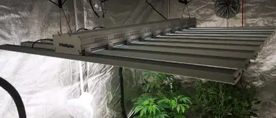 LED Grow Light 10 bar 800W ($600 OBO), View more