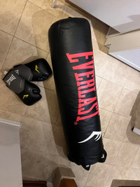 Boxing bag and gloves 