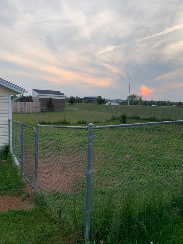 Roommate wanted. Long Term Rentals Charlottetown Kijiji