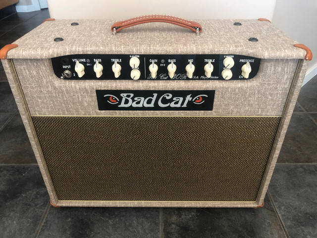 Bad Cat Hot Cat USA Player Series 1x12 Combo Amplifier in Amps & Pedals in Edmonton