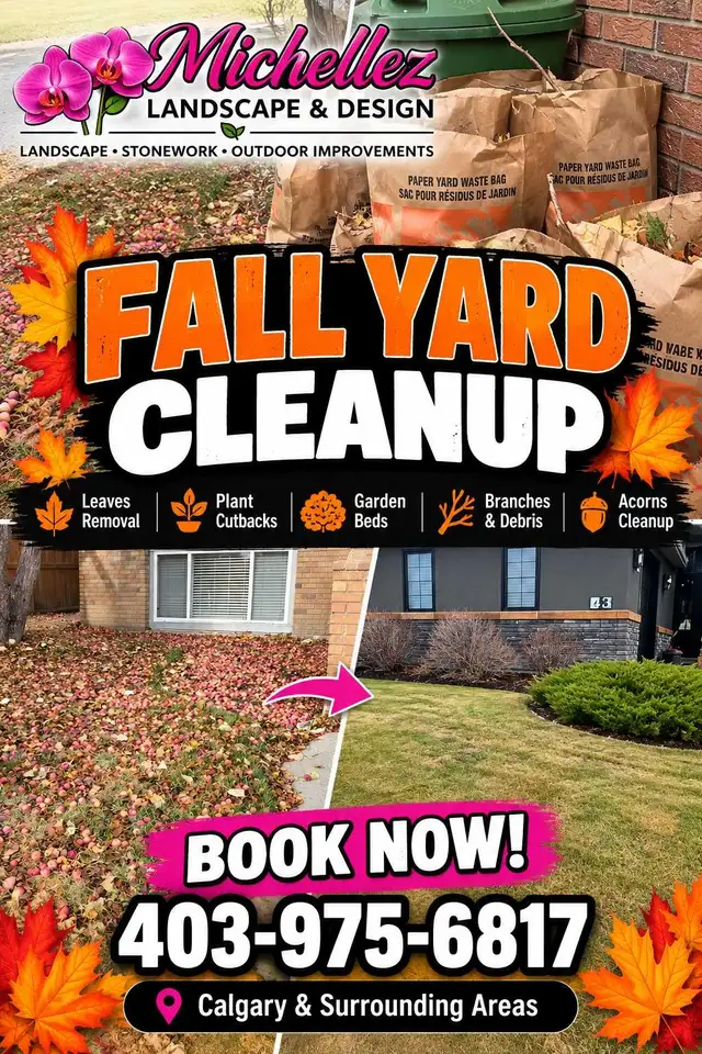 Yard Cleanups and Upgrades