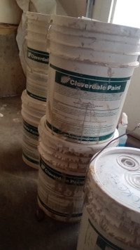 23 gallons of porcelain beige wall paint $170 for all