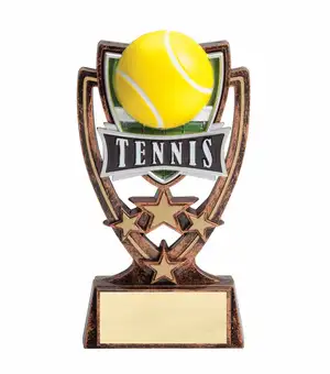 Tennis Lessons for Beginners - $300 per hour, View more