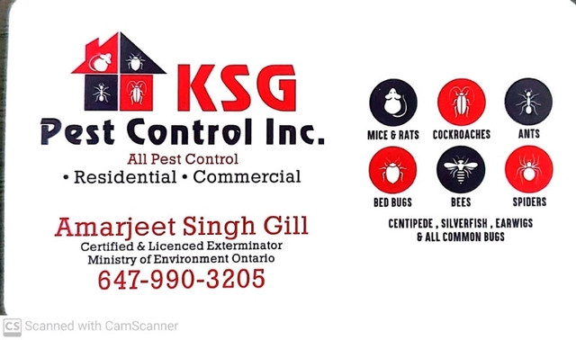 Pest control Call GILL IN brampton, Mississauga Gta in Other in Mississauga / Peel Region