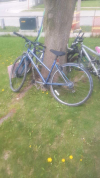 Assorted bikes 