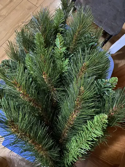 This is a high end, gorgeous, full and lush tree. Not easy to find and extremely expensive. This wou...