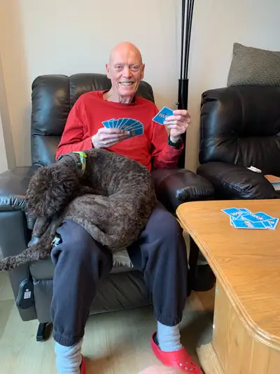 Betts is a 2 year old female Standard Poodle. She is dark brown and requires grooming. She loves peo...