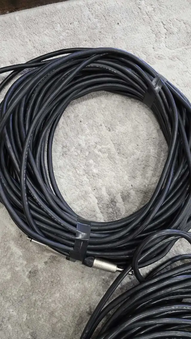 Professional speaker cables, 100 Ft each  in Performance & DJ Equipment in Oakville / Halton Region - Image 3