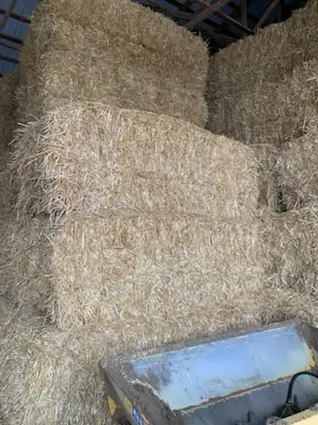 TMR Quality Straw, View more