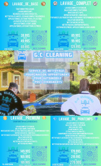 Nettoyage auto détails / car detailing service 