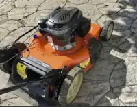 Self-Propelled Lawnmower