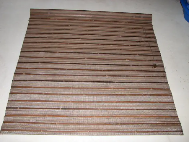 Window Blind