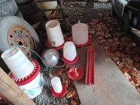 Chiken feeder and waterers 
