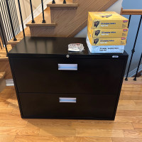 2-Drawer Lateral File Cabinet + 100 Hanging Legal Files