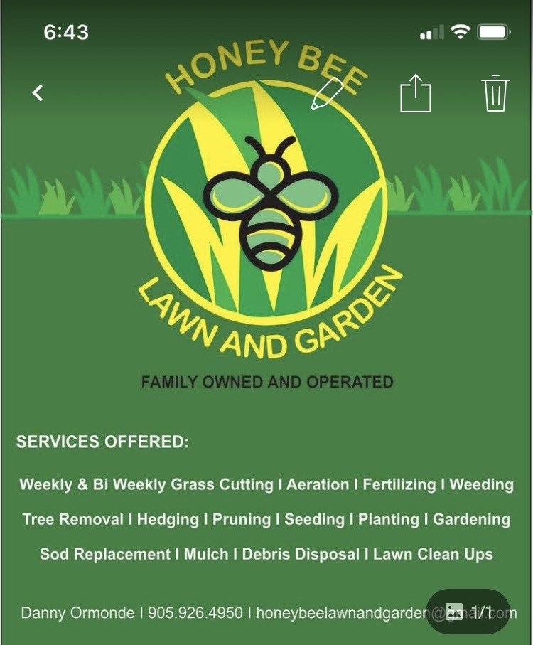 Tree removal, pruning Lawn, Tree Maintenance & Eavestrough Oshawa