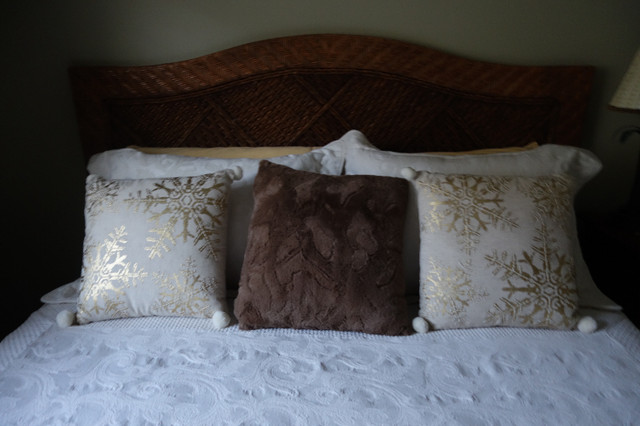 Accent Pillows in Holiday, Event & Seasonal in Kamloops
