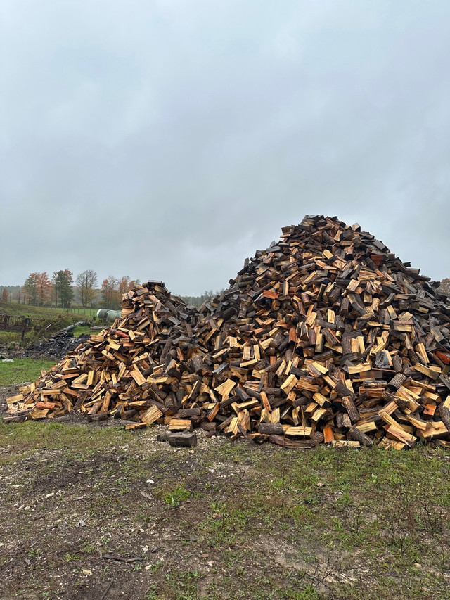 Dry firewood  in Other in Owen Sound - Image 2