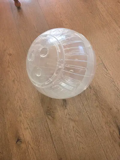 13" chinchilla sized exercise ball.