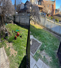 Spring cleanup / gardening