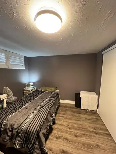 1 room in basement apartment near brimley road scarborough