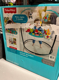 Fisher Price Animals Wonder Jumperoo