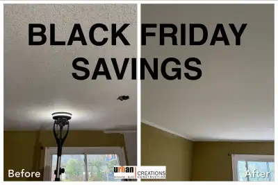 25% BLACK FRIDAY SAVINGS ON DUST FREE POPCORN CEILING REMOVAL, View more