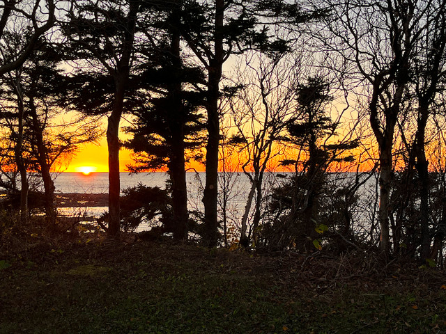 Magnifique grand terrain sur le bord du fleuve en Gaspésie dans Terrains à vendre  à Lévis - Image 2